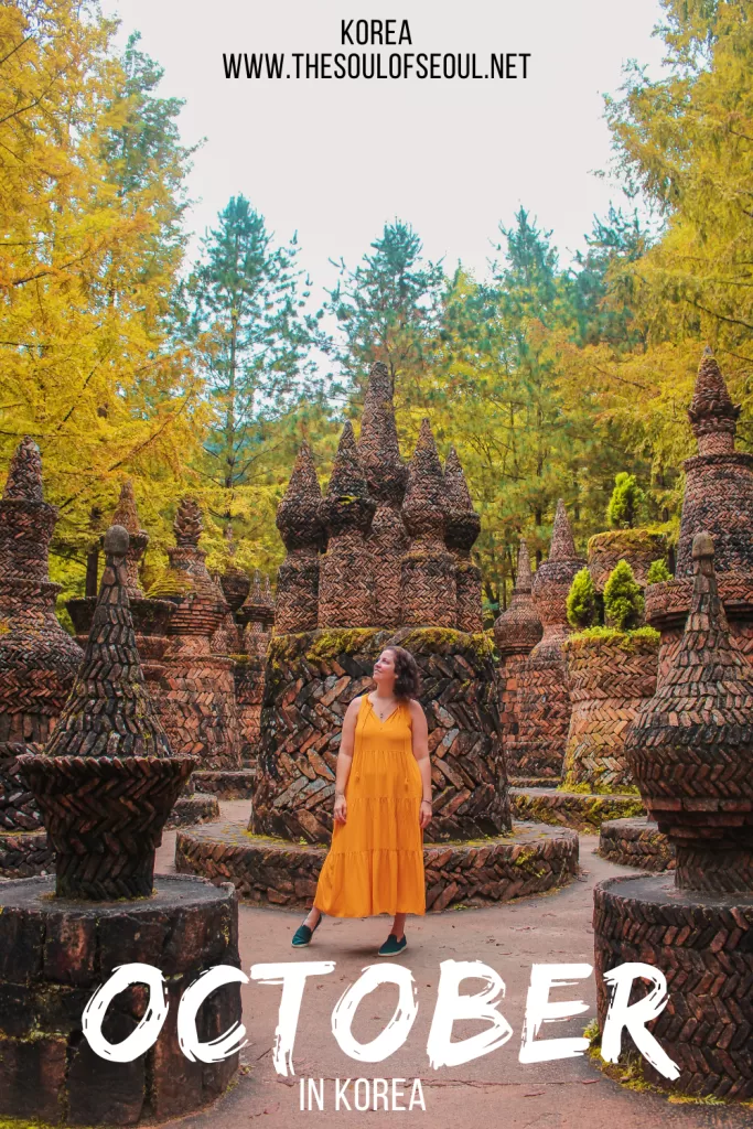 Korea In October: The Weather, Travel Tips, Flowers and Things To Do: Get ready for autumn in Korea. Everything you need to do, see, and eat this October. The events, festivals, and more!