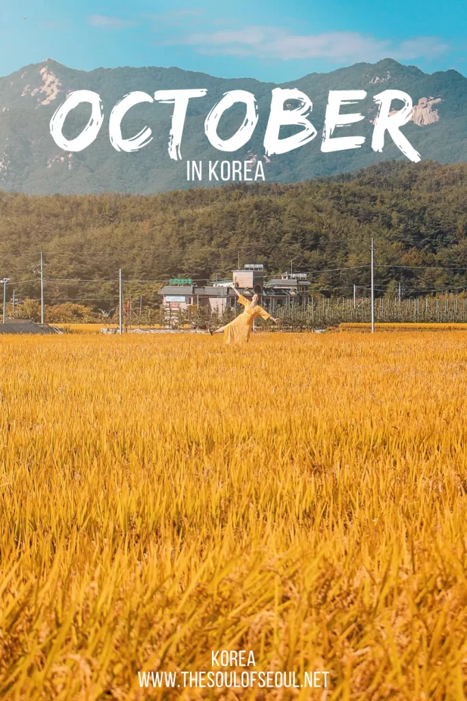 Korea In October: The Weather, Travel Tips, Flowers and Things To Do: Get ready for autumn in Korea. Everything you need to do, see, and eat this October. The events, festivals, and more!