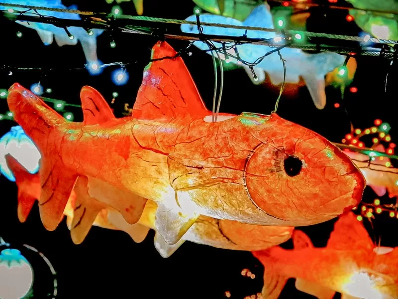 Seoul Lantern Festival (서울빛초롱축제), Cheonggyecheon Stream, Seoul, Korea