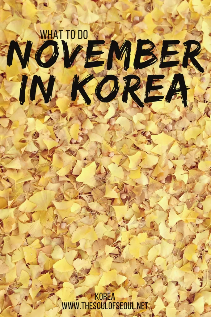 Korea In November: The Weather, Travel Tips, Flowers and Things To Do: Get ready for autumn in Korea. Everything you need to do, see, and eat this November. The events, festivals, and more!