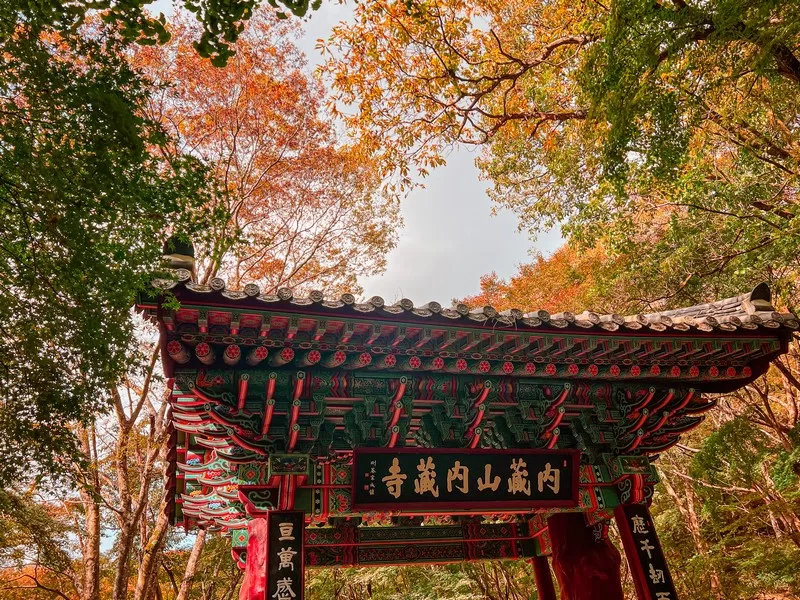 Naejangsan National Park (내장산국립공원), Jeollabuk-do, Korea; fall foliage, maple tree