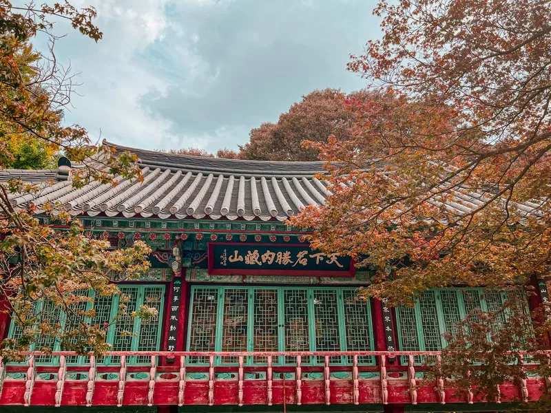 Naejangsa Temple (내장사), Naejangsan National Park (내장산국립공원), Jeollabuk-do, Korea; fall foliage, maple tree