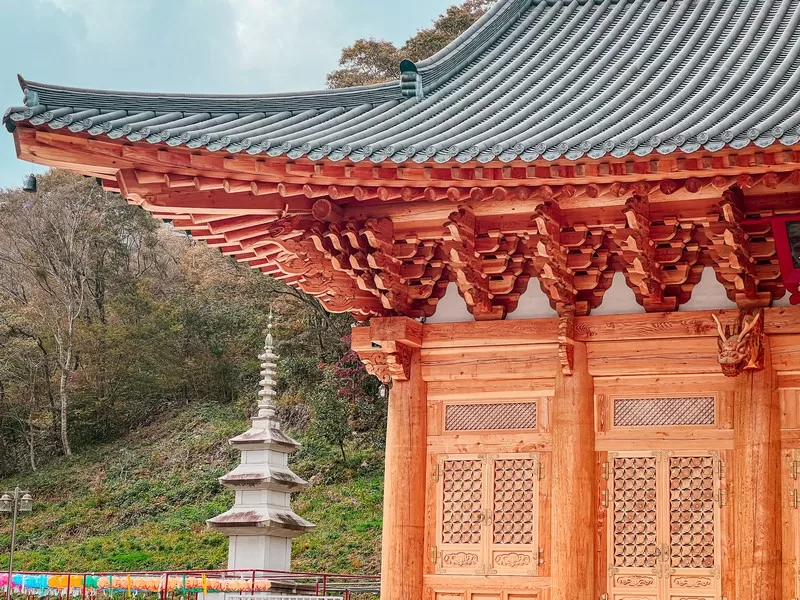 Naejangsa Temple (내장사), Naejangsan National Park (내장산국립공원), Jeollabuk-do, Korea; fall foliage, maple tree