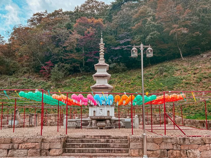 Naejangsa Temple (내장사), Naejangsan National Park (내장산국립공원), Jeollabuk-do, Korea; fall foliage, maple tree
