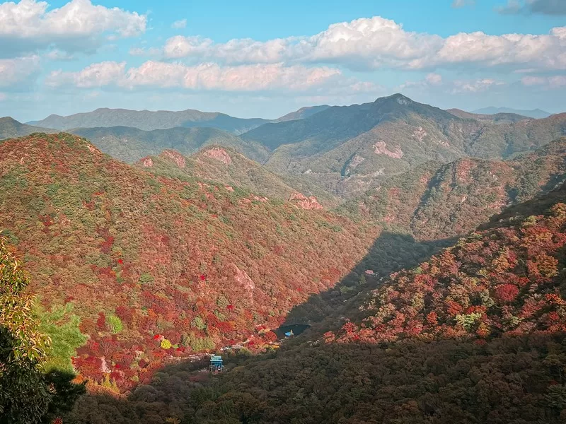 Naejangsan National Park (내장산국립공원), Jeollabuk-do, Korea; fall foliage, maple tree