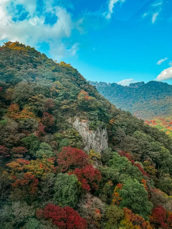 Naejangsan Cable Car (내장산 케이블카), Naejangsan National Park (내장산국립공원), Jeollabuk-do, Korea; fall foliage, maple tree