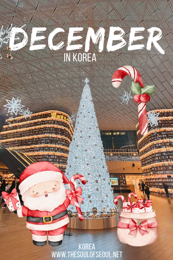 Korea In December: The Weather, Travel Tips, Flowers and Things To Do: Get ready for the Korean winter wonderland this December. Everything you need to do, see, and eat. The events, festivals, and more!
