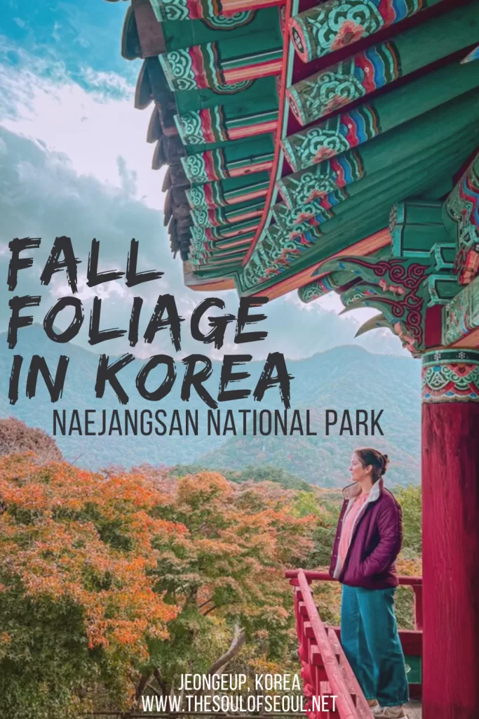 Naejangsan National Park: Korea's Most Famous Fall Foliage Destination: Experience Korea’s best fall foliage at Naejangsan National Park. Discover the top trails, temples, and tours for a perfect autumn day trip from Seoul.