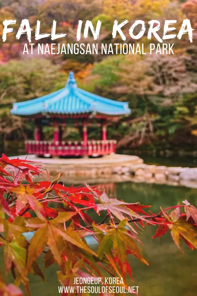 Naejangsan National Park: Korea's Most Famous Fall Foliage Destination: Experience Korea’s best fall foliage at Naejangsan National Park. Discover the top trails, temples, and tours for a perfect autumn day trip from Seoul.