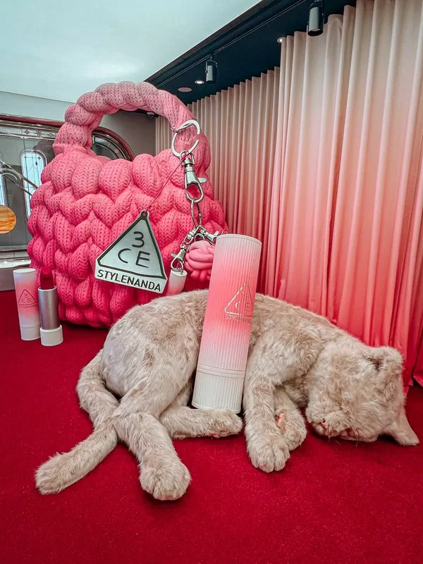 3CE Cinema, Myeongdong, Seoul, Korea