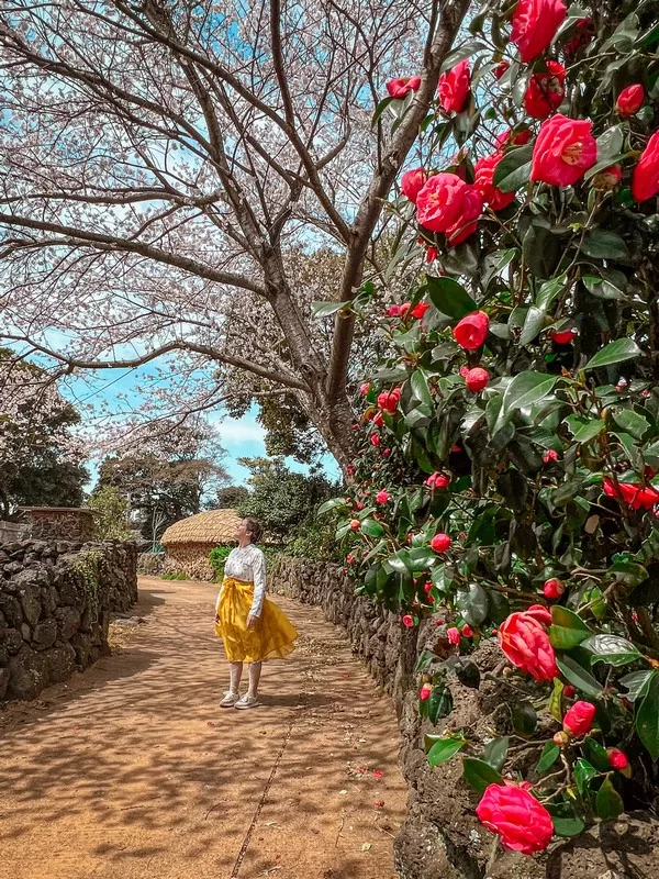 Seongeup Folk Village (성읍민속마을), Pyoseon-myeon, Seogwipo-si, Jeju-do, Korea; Korean folk village, Hanok