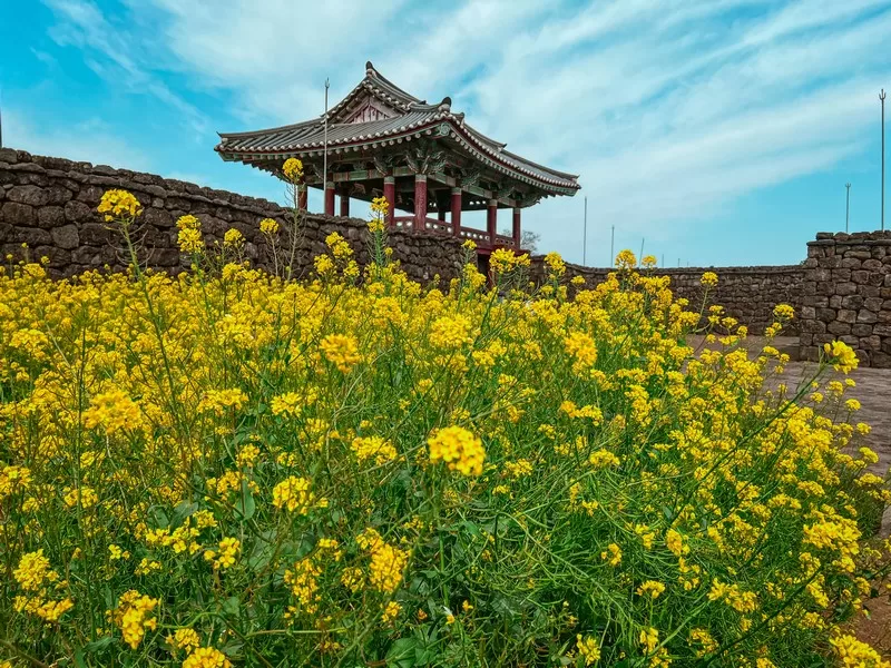 Seongeup Folk Village (성읍민속마을), Pyoseon-myeon, Seogwipo-si, Jeju-do, Korea; Korean folk village, Hanok