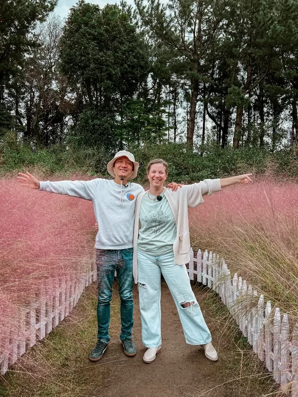 Hueree Nature Life Park (휴애리자연생활공원), Nawon-eub, Seogwipo-si, Jeju-do, Korea; pink muhly