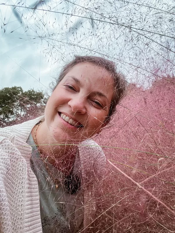 Hueree Nature Life Park (휴애리자연생활공원), Nawon-eub, Seogwipo-si, Jeju-do, Korea; pink muhly