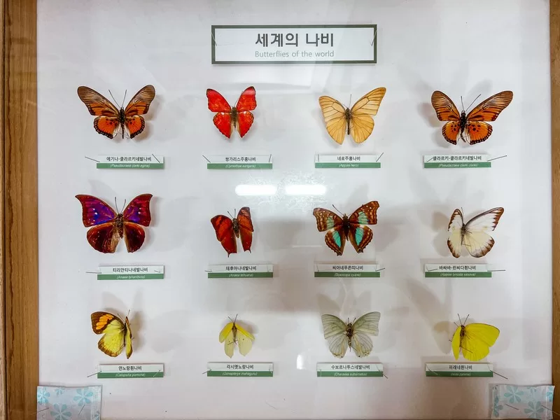 Hueree Nature Life Park (휴애리자연생활공원), Nawon-eub, Seogwipo-si, Jeju-do, Korea