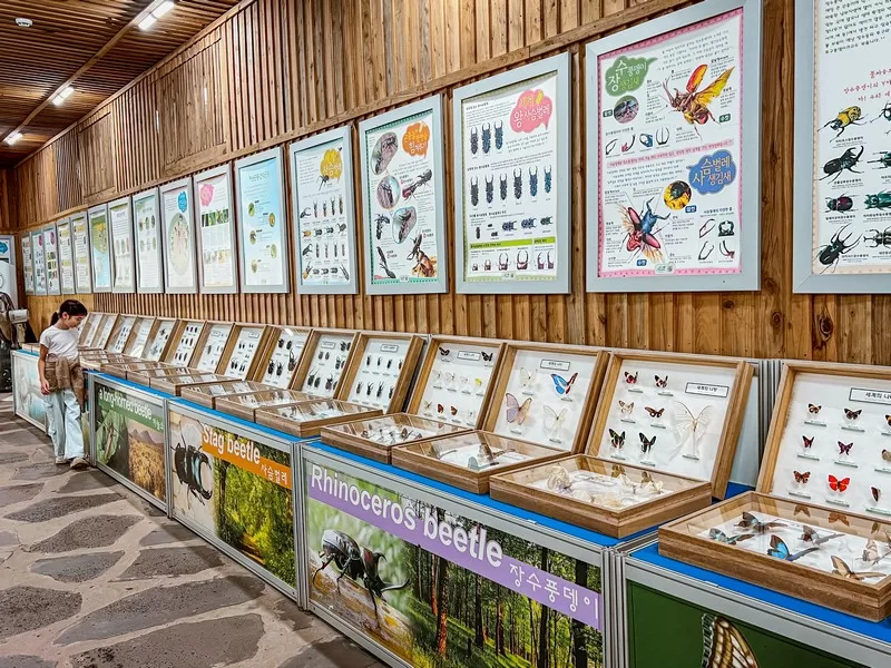 Hueree Nature Life Park (휴애리자연생활공원), Nawon-eub, Seogwipo-si, Jeju-do, Korea