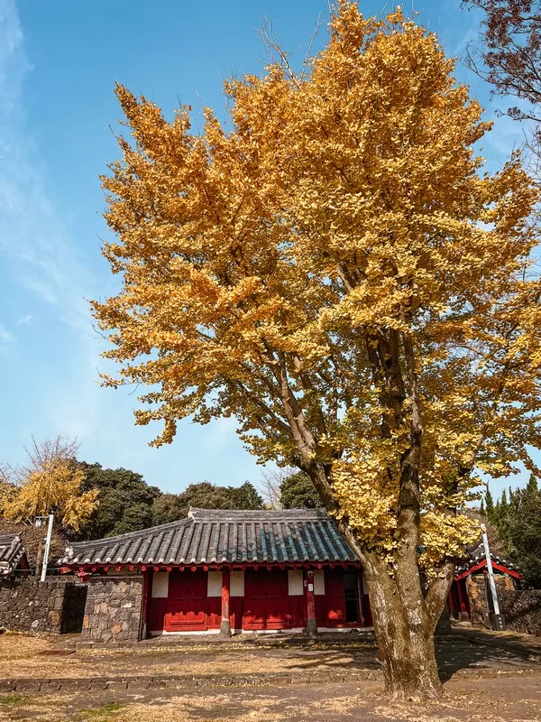 Seongeup Folk Village (성읍민속마을), Pyoseon-myeon, Seogwipo-si, Jeju-do, Korea; Korean folk village, Hanok