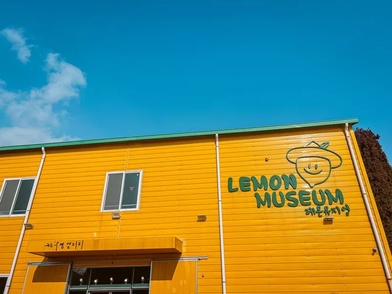 Lemon Museum (레몬뮤지엄), Namwon-eup, Seogwipo-si, Jeju-do, Korea; lemon farm in Korea