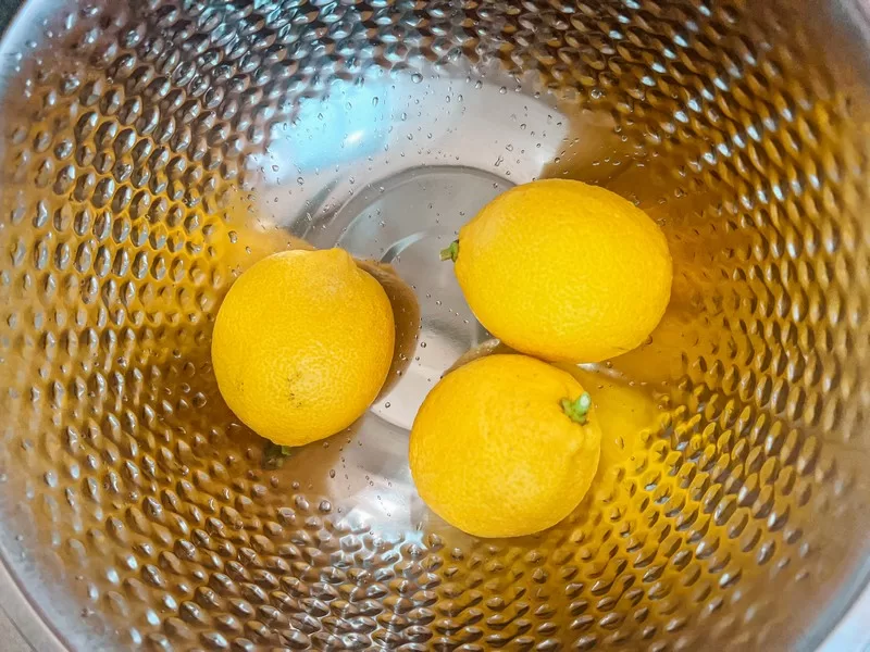 Lemon Museum (레몬뮤지엄), Namwon-eup, Seogwipo-si, Jeju-do, Korea; lemon farm in Korea