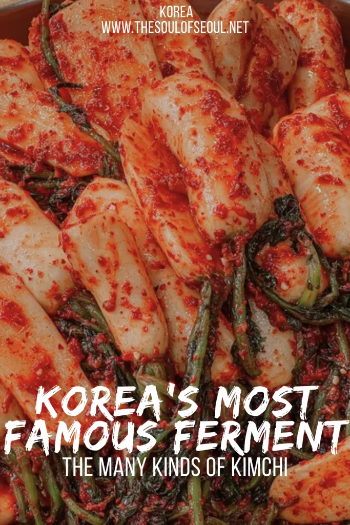 The Many Faces of Kimchi: A Guide to Korea's Most Famous Ferment: Think kimchi is only spicy napa cabbage? This in-depth guide explores the many kinds of kimchi, how kimchi is made, kimjang culture, health benefits, and must-try Korean varieties.