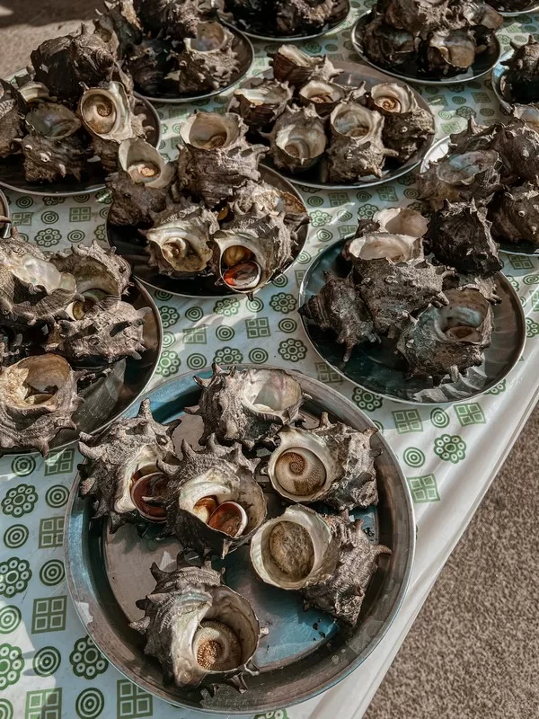 Udo Turban Shell Festival (우도소라축제), Udo Island, Jeju-do, Korea; sora (소라)