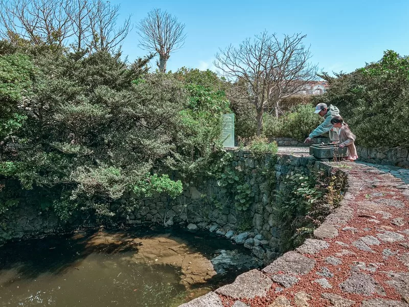 Hundertwasser Park (훈데르트바서파크), Udo- Island, Jeju-do, Korea