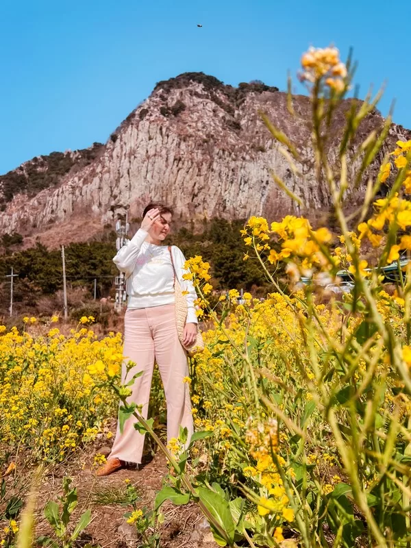 Sanbangsan, Jeju-do, Korea; canola flowers