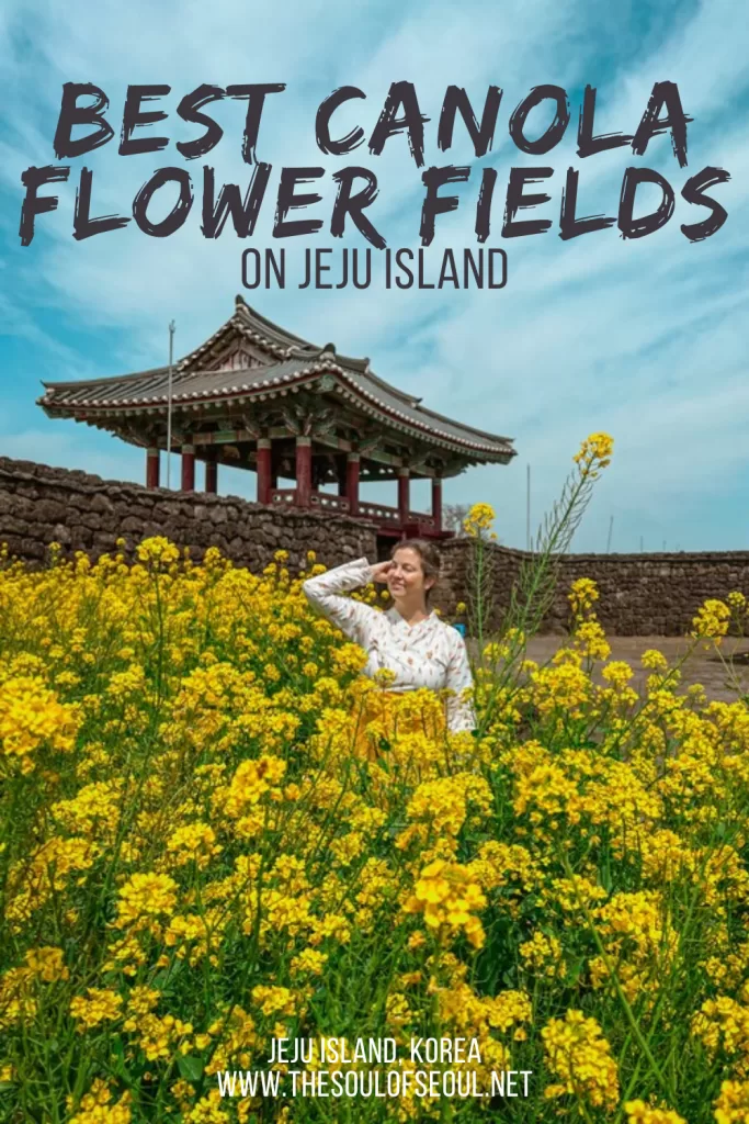 Jeju In Spring: Where To See Jeju's Famous Canola Flowers: Planning a spring trip? Here’s when Jeju canola flower season begins and the best places to see the island’s famous yellow fields.