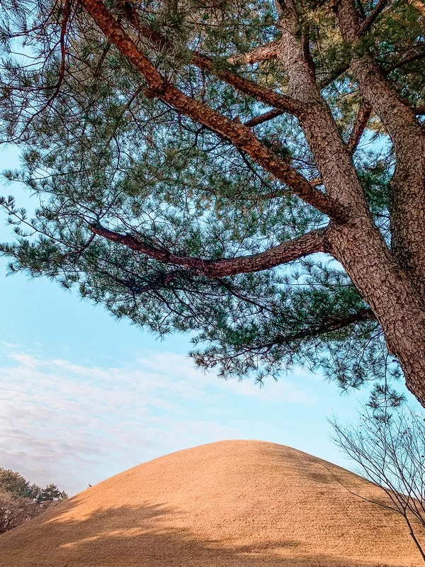 Daereungwon Tomb Complex / Tumuli Park (대릉원경주시 사적공원), Gyeongju, Korea