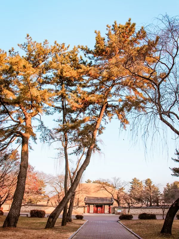Daereungwon Tomb Complex / Tumuli Park (대릉원경주시 사적공원), Gyeongju, Korea