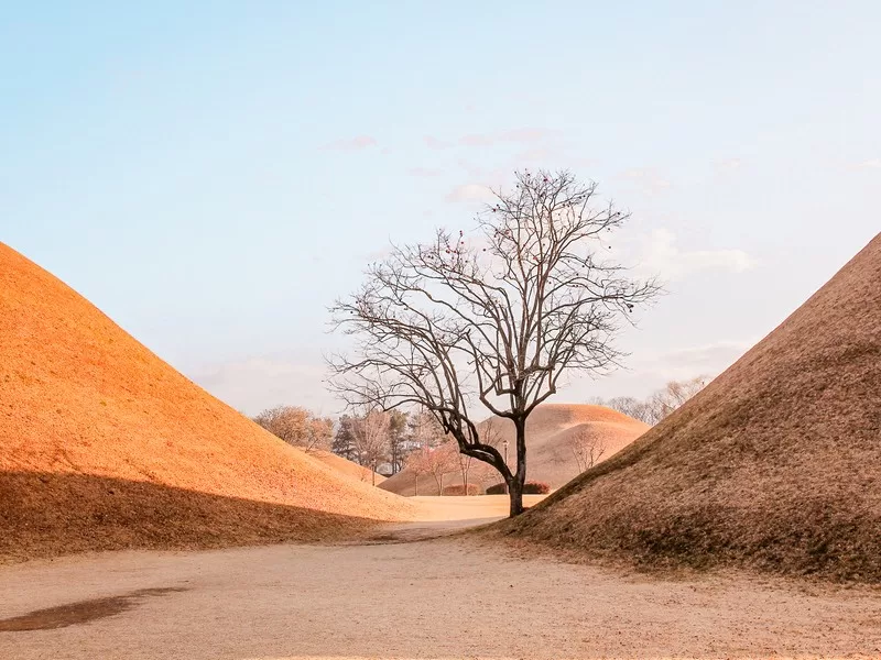 Daereungwon Tomb Complex / Tumuli Park (대릉원경주시 사적공원), Gyeongju, Korea