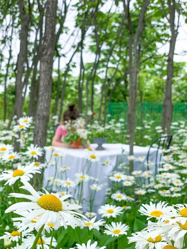 Best Day Trips From Seoul With Kids: A Local Parent’s Guide