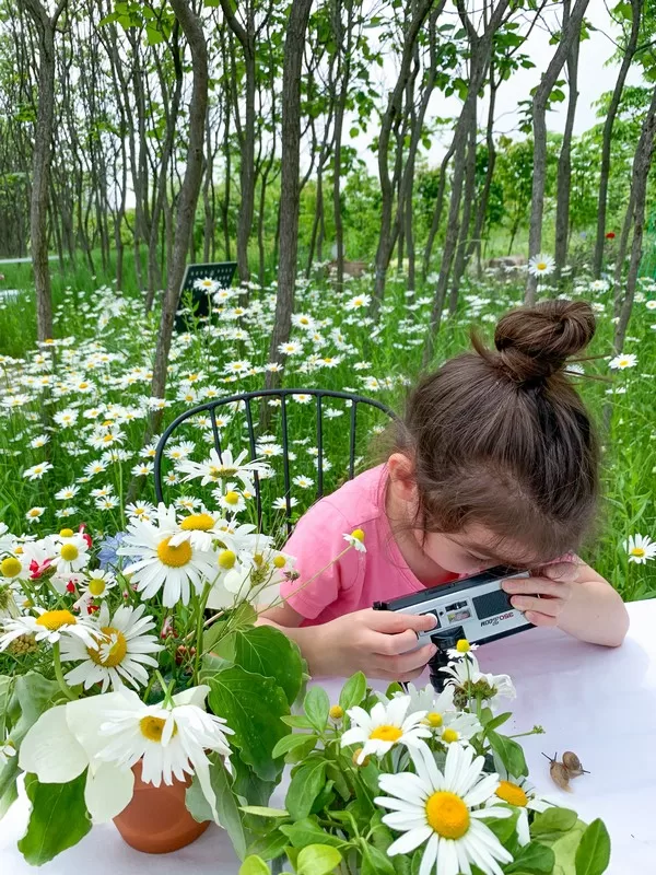 Best Day Trips From Seoul With Kids: A Local Parent’s Guide