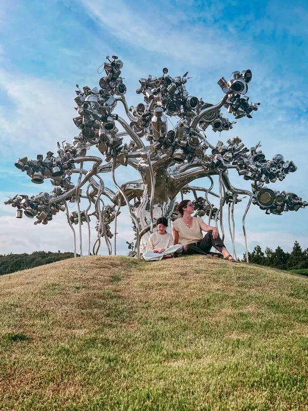 OSULLOC Tea House Tea Factory (오설록 티하우스 티팩토리점), Namwon-eup, Seogwipo-si, Jeju-do; green tea fields