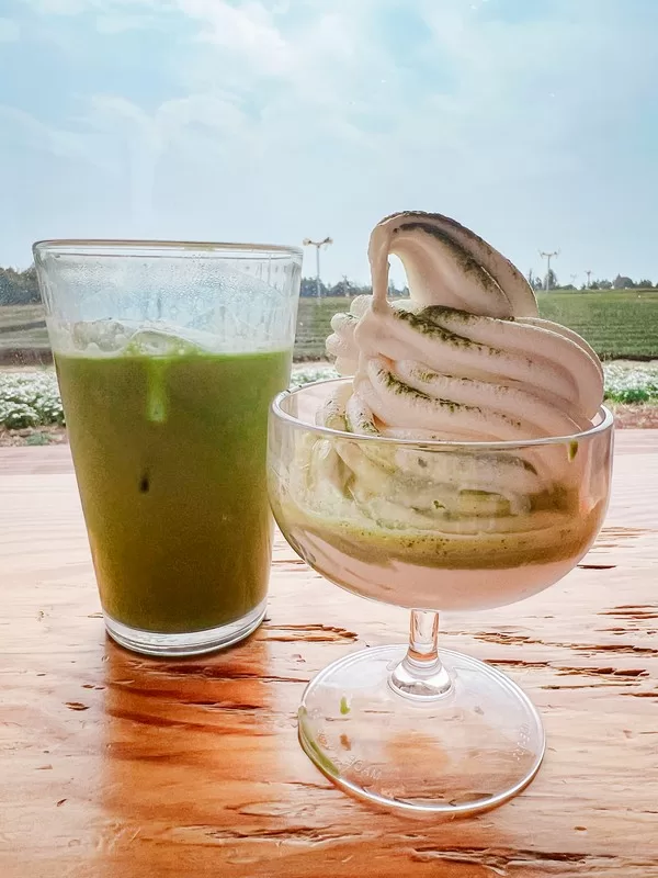 Sumang Dawon (수망다원), Namwon-eup, Seogwipo-si, Jeju-do; green tea fields