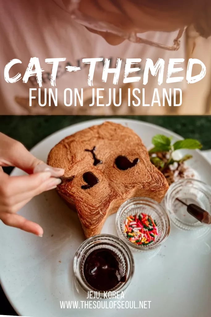 Dolcori Forest Jeju: Hours, Tickets, and What to Really Expect at Korea's New Cat Park: A first-hand review of Dolcori Forest, Jeju's new cat-themed park in Andeok-myeon, plus hours, tickets, and what to expect.