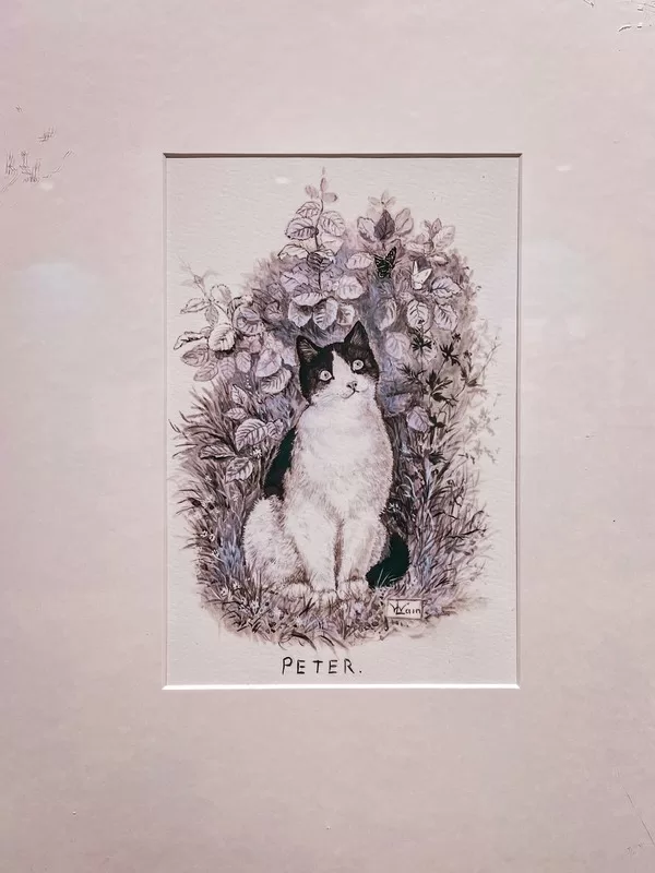 Dolcori Forest (돌코리숲), Andeok-myeon, Seogwipo-si, Jeju-do; cat-themed theme park