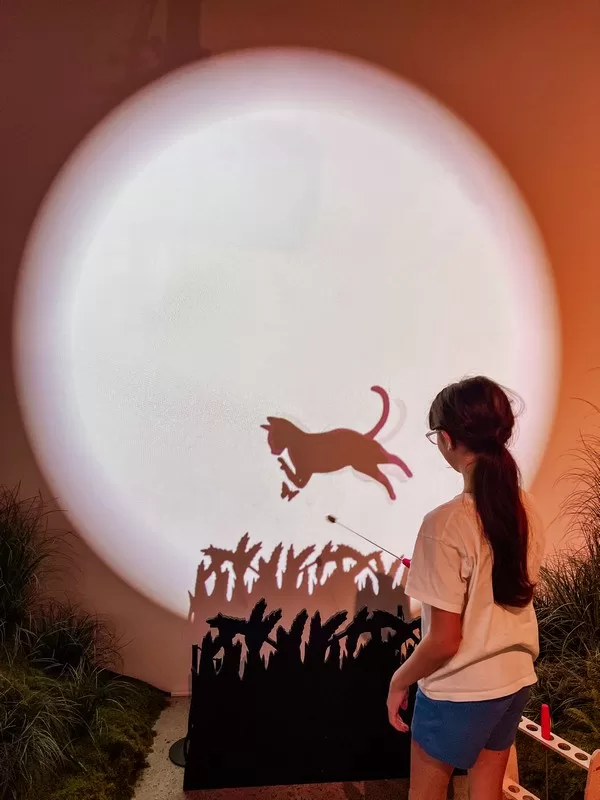 Dolcori Forest (돌코리숲), Andeok-myeon, Seogwipo-si, Jeju-do; cat-themed theme park