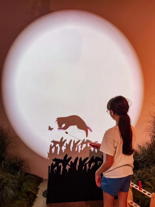 Dolcori Forest (돌코리숲), Andeok-myeon, Seogwipo-si, Jeju-do; cat-themed theme park