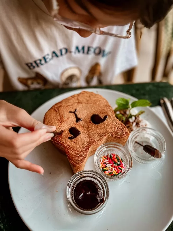 Dolcori Forest (돌코리숲), Andeok-myeon, Seogwipo-si, Jeju-do; cat-themed theme park