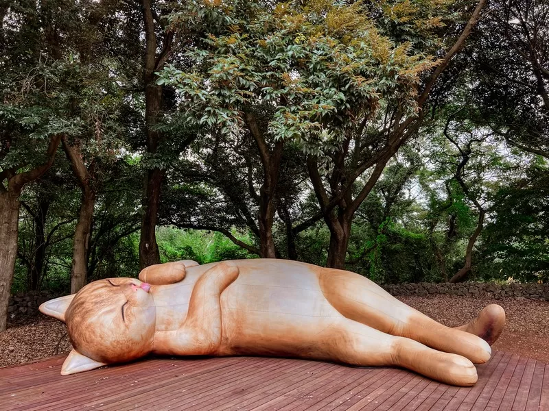 Dolcori Forest (돌코리숲), Andeok-myeon, Seogwipo-si, Jeju-do; cat-themed theme park