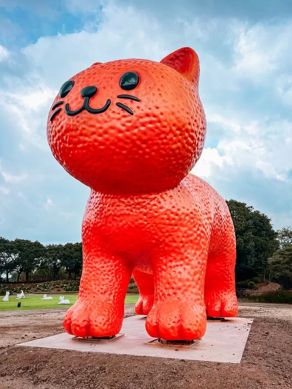 Dolcori Forest (돌코리숲), Andeok-myeon, Seogwipo-si, Jeju-do; cat-themed theme park