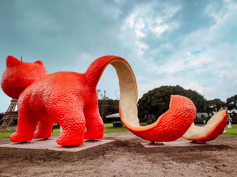 Dolcori Forest (돌코리숲), Andeok-myeon, Seogwipo-si, Jeju-do; cat-themed theme park