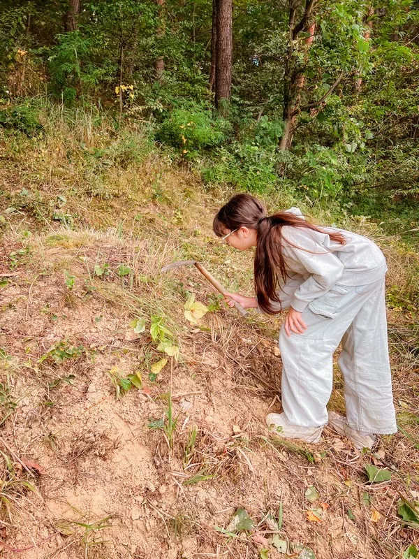 family burial mound, Korean grave, beolcho