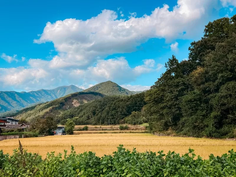 Korean countryside, Hamyang-gun, Korea