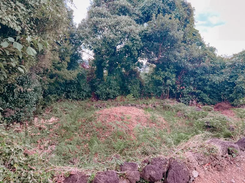 family burial mound, Korean grave; Pyoseon-myeon, Jeju Island, Korea