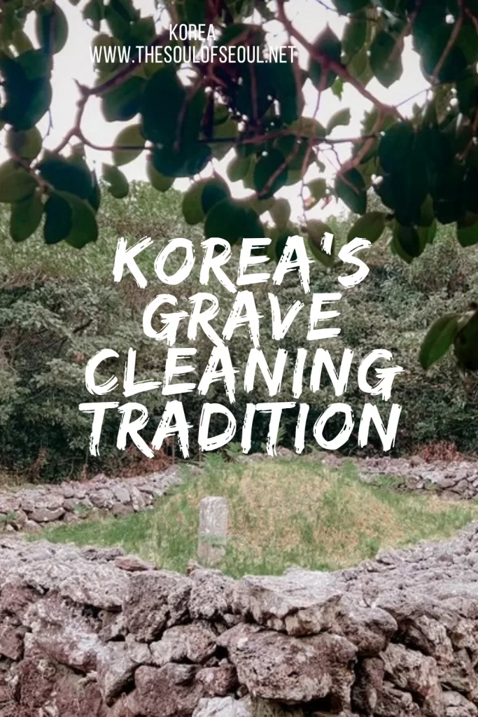 What Is Beolcho: Experiencing Korea's Ancestral Grave-Cleaning Tradition: Beolcho is Korea's pre-Chuseok grave-cleaning tradition. I joined my Korean family on Jeju for my first: a mountain bushwhack, three graves, and myoje.
