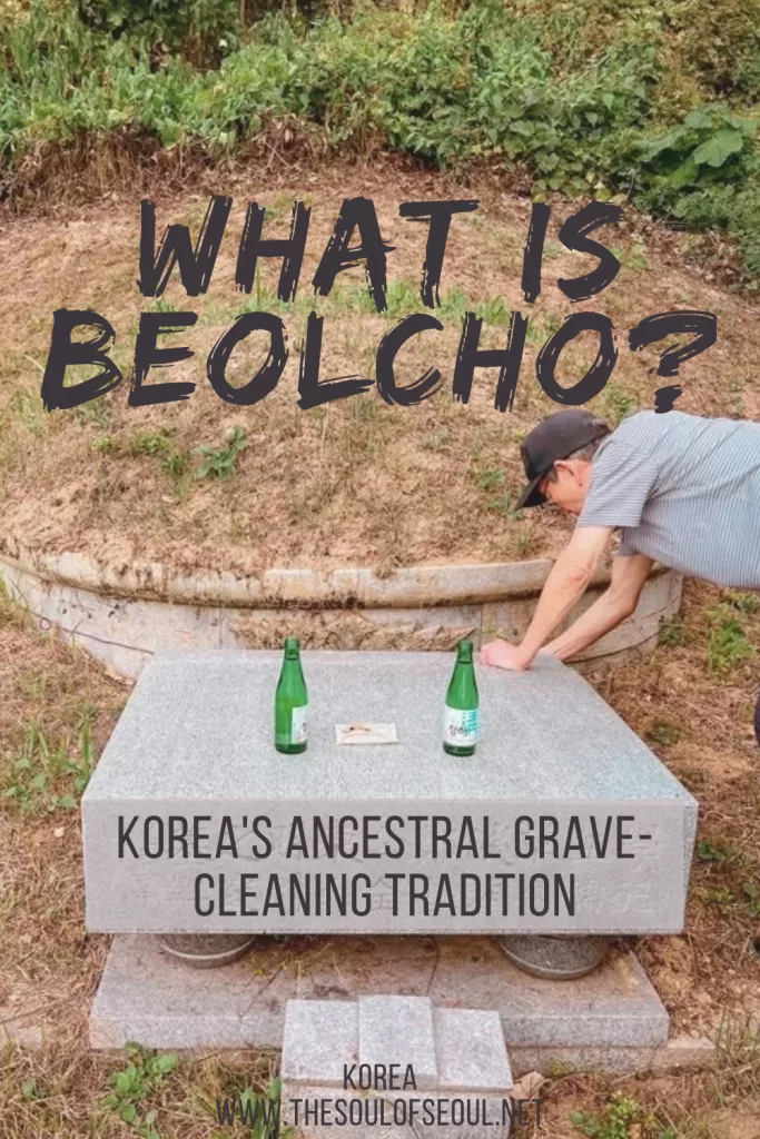 What Is Beolcho: Experiencing Korea's Ancestral Grave-Cleaning Tradition: Beolcho is Korea's pre-Chuseok grave-cleaning tradition. I joined my Korean family on Jeju for my first: a mountain bushwhack, three graves, and myoje.